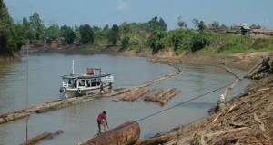 Kewenangan Ditarik, Isran Rencanakan Temui Presiden