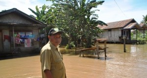 Kebanjiran: Buaya Serang Ternak Warga Sepaso Selatan