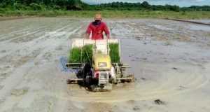 KB Minta Pertanian Digalakan, Demi Ketersediaan Pangan di Kutim
