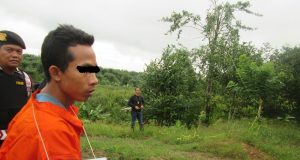 Siapa Berani Dekati Orang Utan, Anjing Saja Dicabik-Cabik