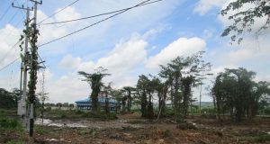 PORPROV Kaltim : 6 Cabor Digelar Di Luar Kutai Timur