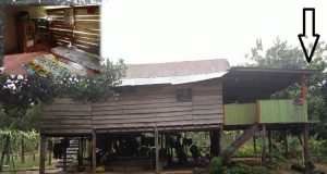 Petani Tua Itu Sedih Melihat Sumber Mata Pencariannya Bakal Tak Terawat