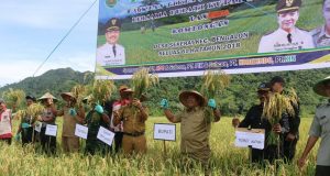 Lewat Pantun, Ismu Minta Sawah Jangan Jadi Tambang