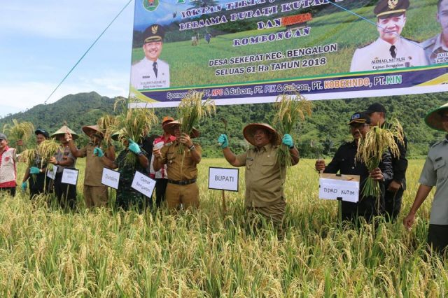 29570644_205803563511910_3689637231209096459_n