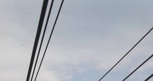 Diduga Terlalu Kuat Ditarik, Tiang Listrik Roboh
