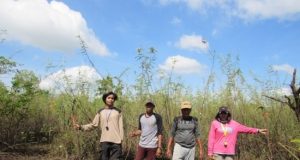Yasiwa Galakan Penyelamatan Bekantan di Muara Ancalong