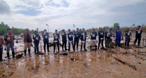 Fopsir Kutim Tanam 1000 Mangrove – Didukung Penuh PT KPC