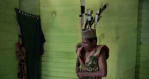 Benang Dan Madu Banggeris di Hutan Bengalon