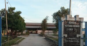 Apansyah Minta RPH Harus Sesuai dengan Tingkat Produksi Perternakan