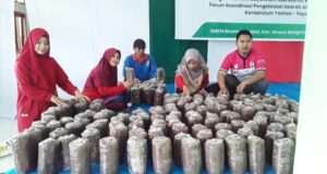 Yasiwa, Fordas dan Pemkab Kutim Fasilitasi Masyarakat Budidaya Jamur Putih di KEP LBMS