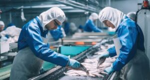 Syarifatul Dorong Hilirisasi Perikanan Berau untuk Dongkrak Ekonomi