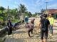 Aksi Nyata Warga RT 06 Suka Rahmat Kecamatan Teluk Pandan, Gotong Royong Lakukan Pengerasan Jalan