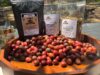 Kopi Goa Cullang, Kenikmatan Rasa Tersembunyi di Agrowisata Goa Taman Buah Mandiri Kecamatan Teluk Pandan