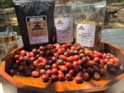 Kopi Goa Cullang, Kenikmatan Rasa Tersembunyi di Agrowisata Goa Taman Buah Mandiri Kecamatan Teluk Pandan