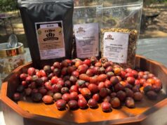 Kopi Goa Cullang, Kenikmatan Rasa Tersembunyi di Agrowisata Goa Taman Buah Mandiri Kecamatan Teluk Pandan