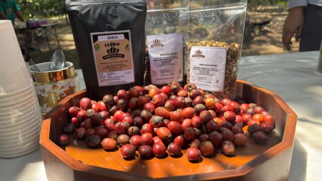 Kopi Goa Cullang