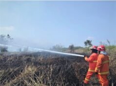 Grup Pertamina Hulu Indonesia Proaktif Dukung Penanganan Karhutla di Wilayah Kalimantan