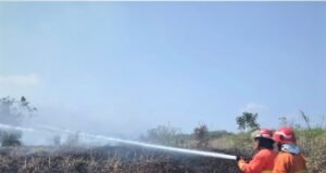 Grup Pertamina Hulu Indonesia Proaktif Dukung Penanganan Karhutla di Wilayah Kalimantan