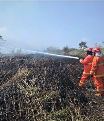 Grup Pertamina Hulu Indonesia Proaktif Dukung Penanganan Karhutla di Wilayah Kalimantan