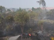 BPBD Kutim Catat 145 Kejadian Karhutla, hingga September 2026