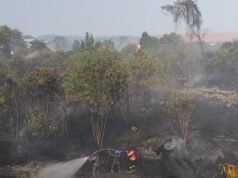 BPBD Kutim Catat 145 Kejadian Karhutla, hingga September 2026