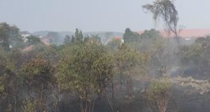 BPBD Kutim Catat 145 Kejadian Karhutla, hingga September 2026