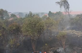 BPBD Kutim Catat 145 Kejadian Karhutla, hingga September 2026