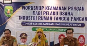 Triana Nur : Workshop Keamanan Pangan Penunjang Peningkatan Mutu, Legalitas, serta Keamanan Produk Pangan Olahan Pelaku Usaha IRTP