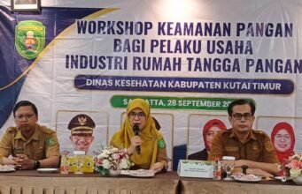 Triana Nur : Workshop Keamanan Pangan Penunjang Peningkatan Mutu, Legalitas, serta Keamanan Produk Pangan Olahan Pelaku Usaha IRTP