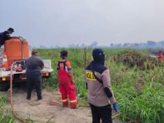 Karhutla Sangatta Utara Meluas hingga 5 Hektare, Tim Gabungan Berjibaku Padamkan Api