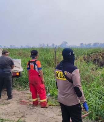 Karhutla Sangatta Utara Meluas hingga 5 Hektare, Tim Gabungan Berjibaku Padamkan Api